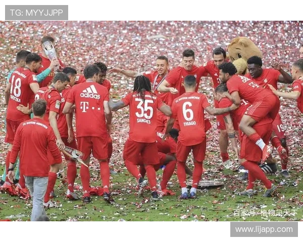 德甲球队的财务状况排名与运营情况调查 德甲球队的财务状况排名与运营情况调查